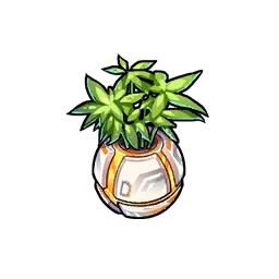 Mini potted plant