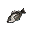 Silver bass