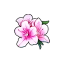 Snow azalea
