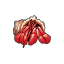 Hermit crab