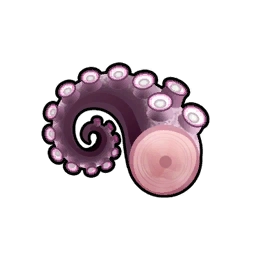 Octopus Meat