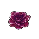 Rose Petal