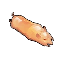Wild boar meat