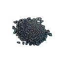 Sesame
